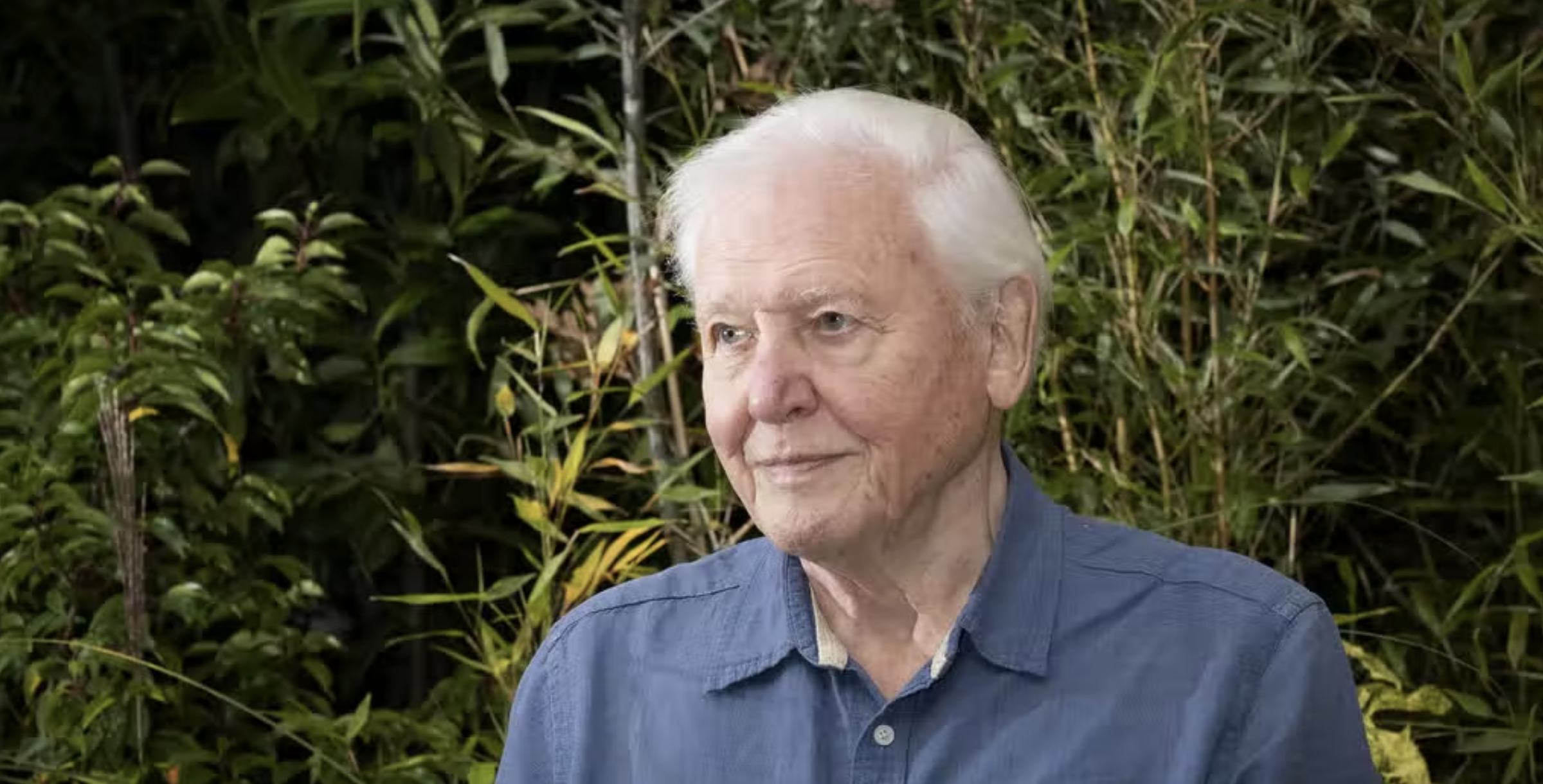 A photo of David Attenborough outdoors