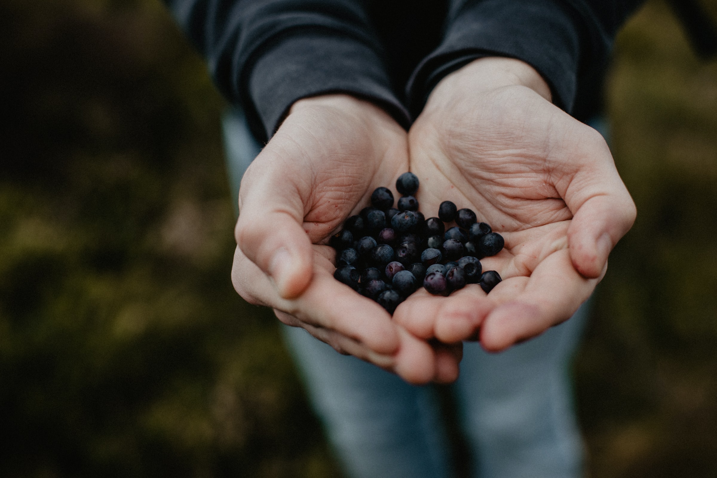 Cupped hands holding berries