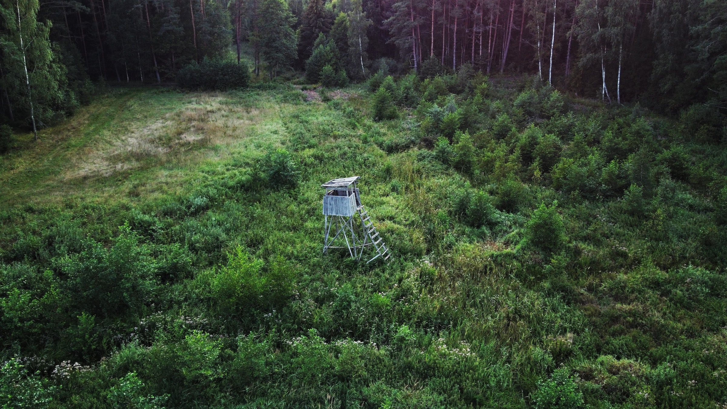 A hunting blind in a clearing in a forest