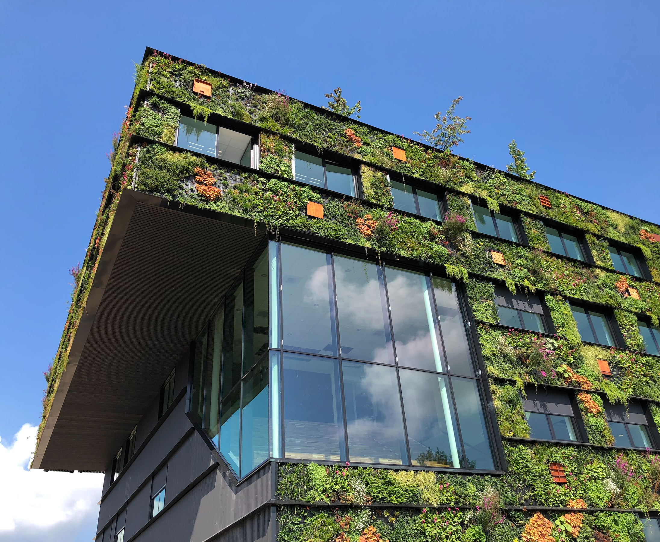 The exterior of a building planted with various plants
