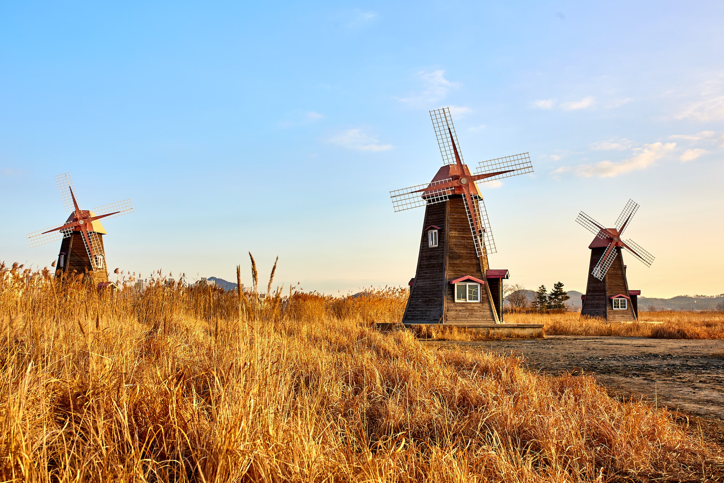 Wooden windmills in a grassy plain