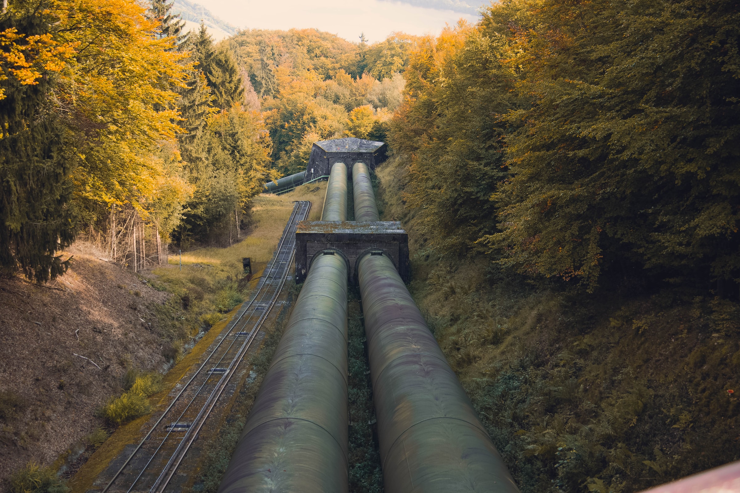 A pipeline cuts through dense forest