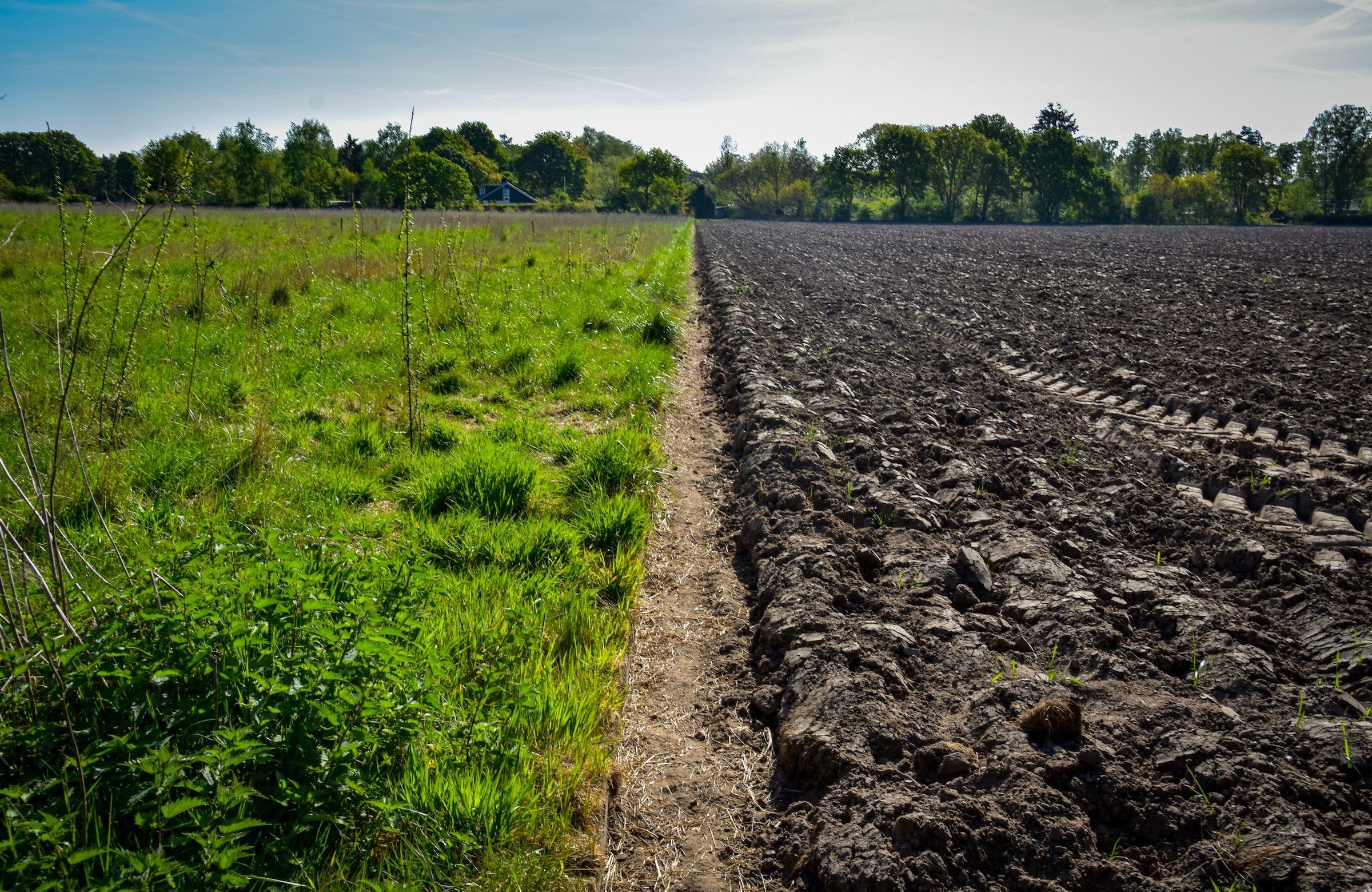 On one side of a dirt path, there are green grasses, while on the other, there is freshly-tilled dirt