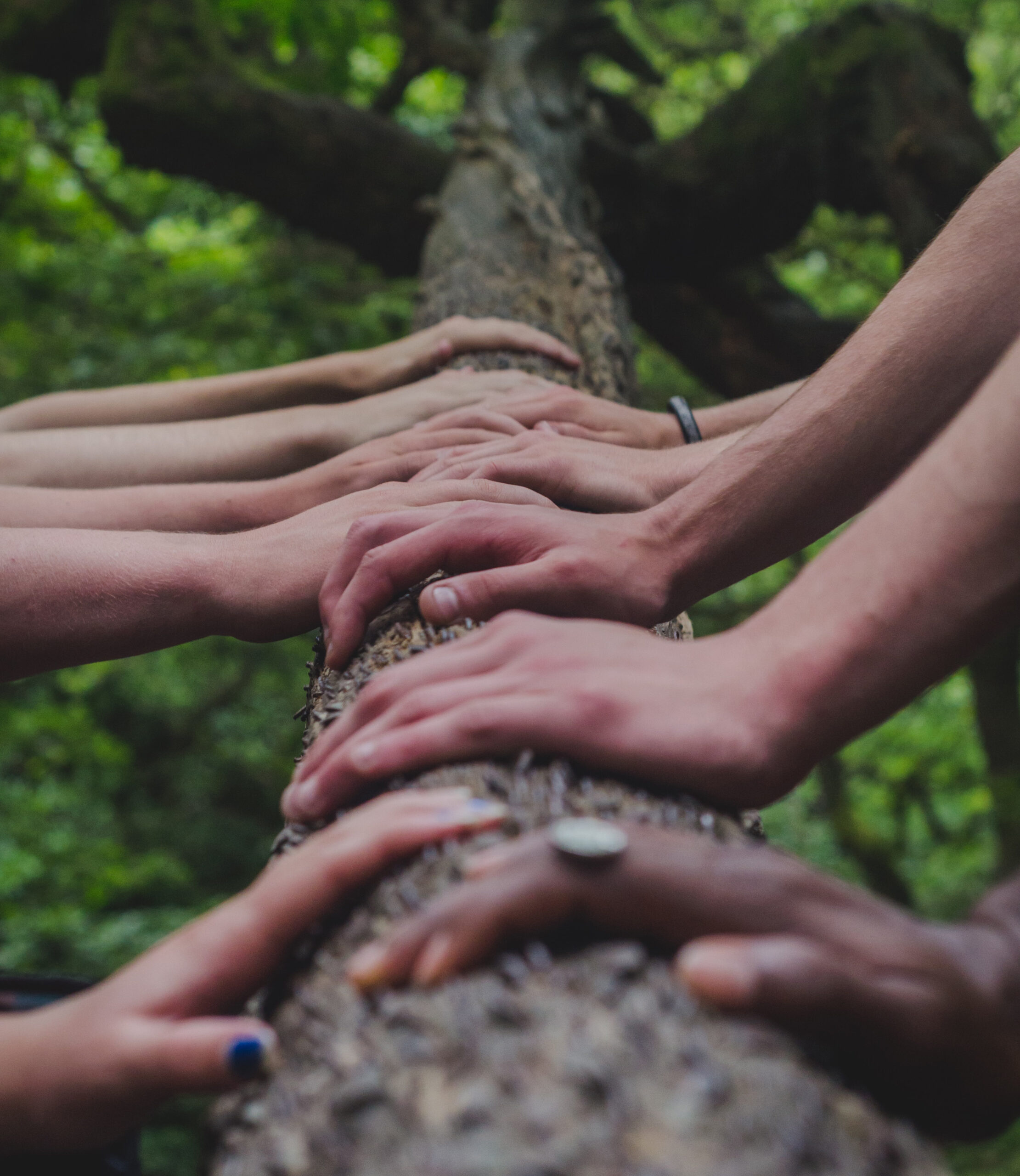 Various hands on a tree trunk