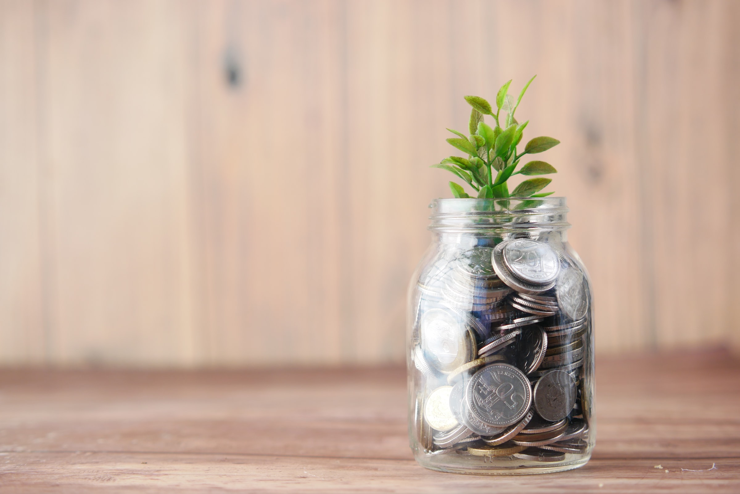 A small plant sprouts out of a glass jar filled with coins