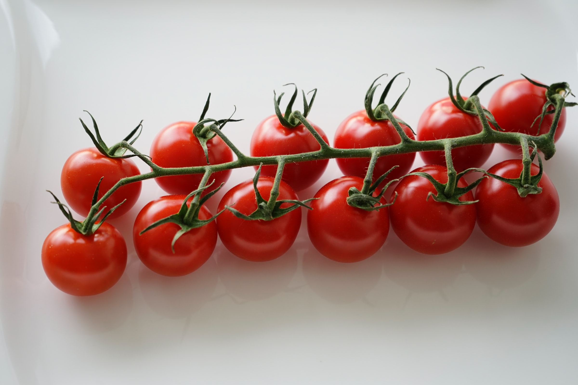 A vine with bright red cherry tomatoes laid on a white counter