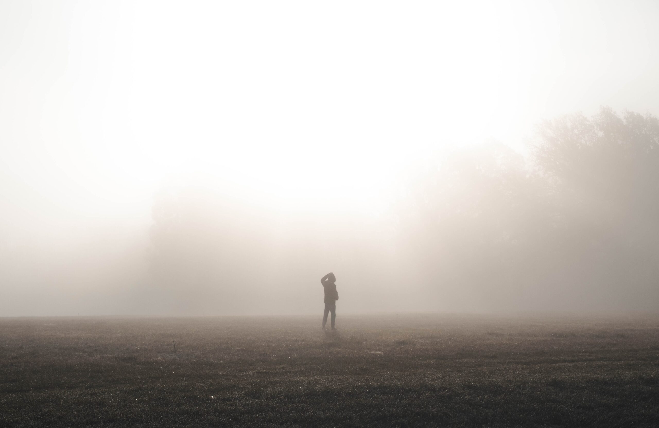 Dark figure in a field with misty foggy air around and trees obscured in the distance.